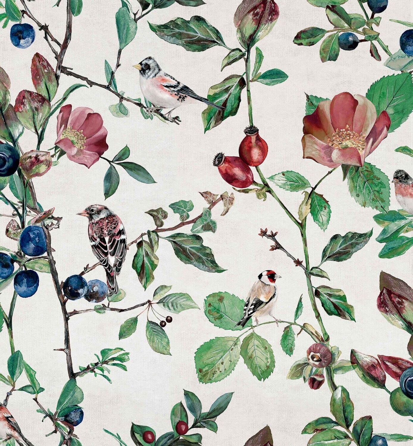Goldfinch song Cotton