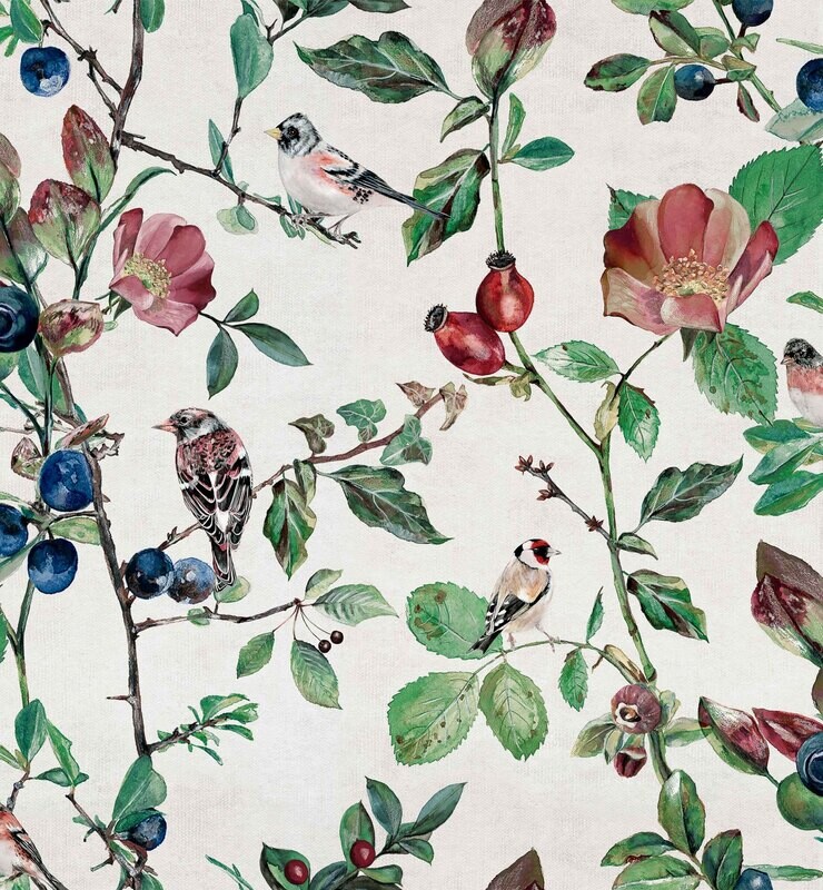 Goldfinch song Cotton