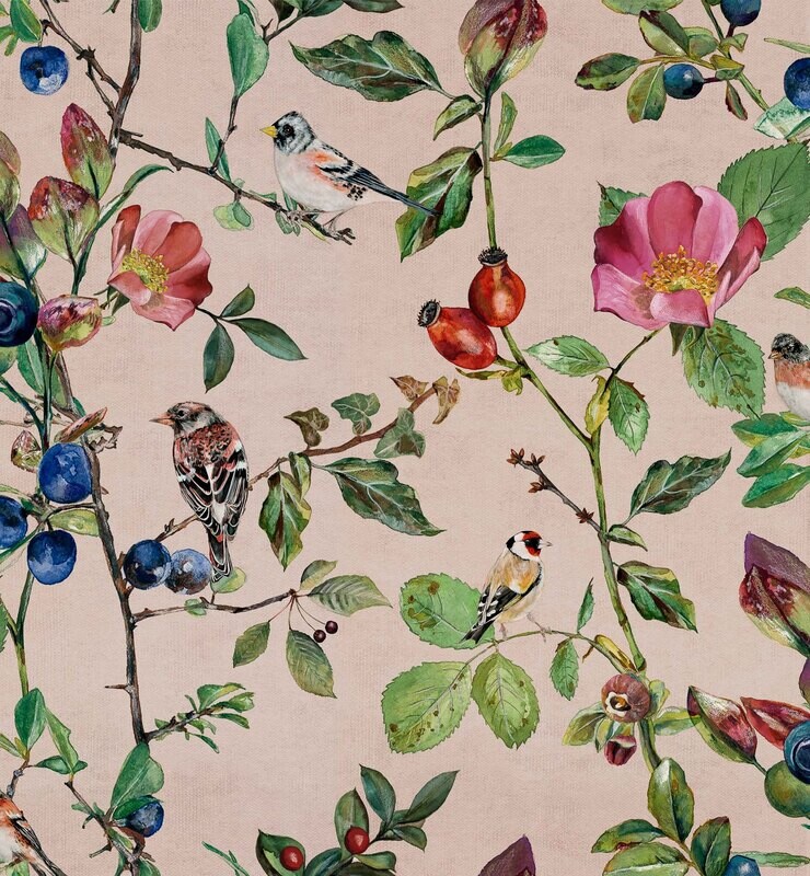 Goldfinch song Blush