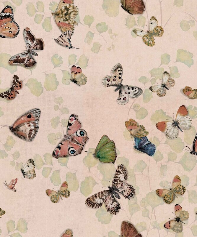 Magic butterflies Sweet