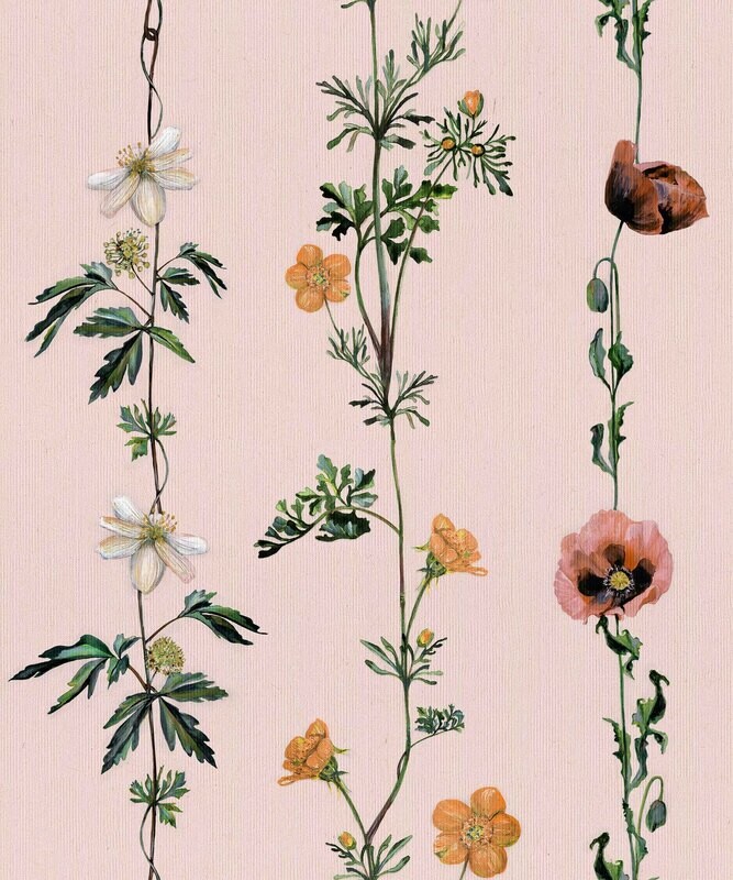 Climbing flowers Pink
