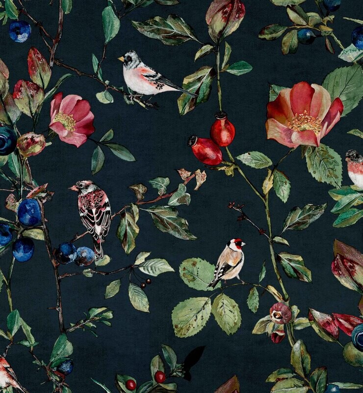 Goldfinch song Night