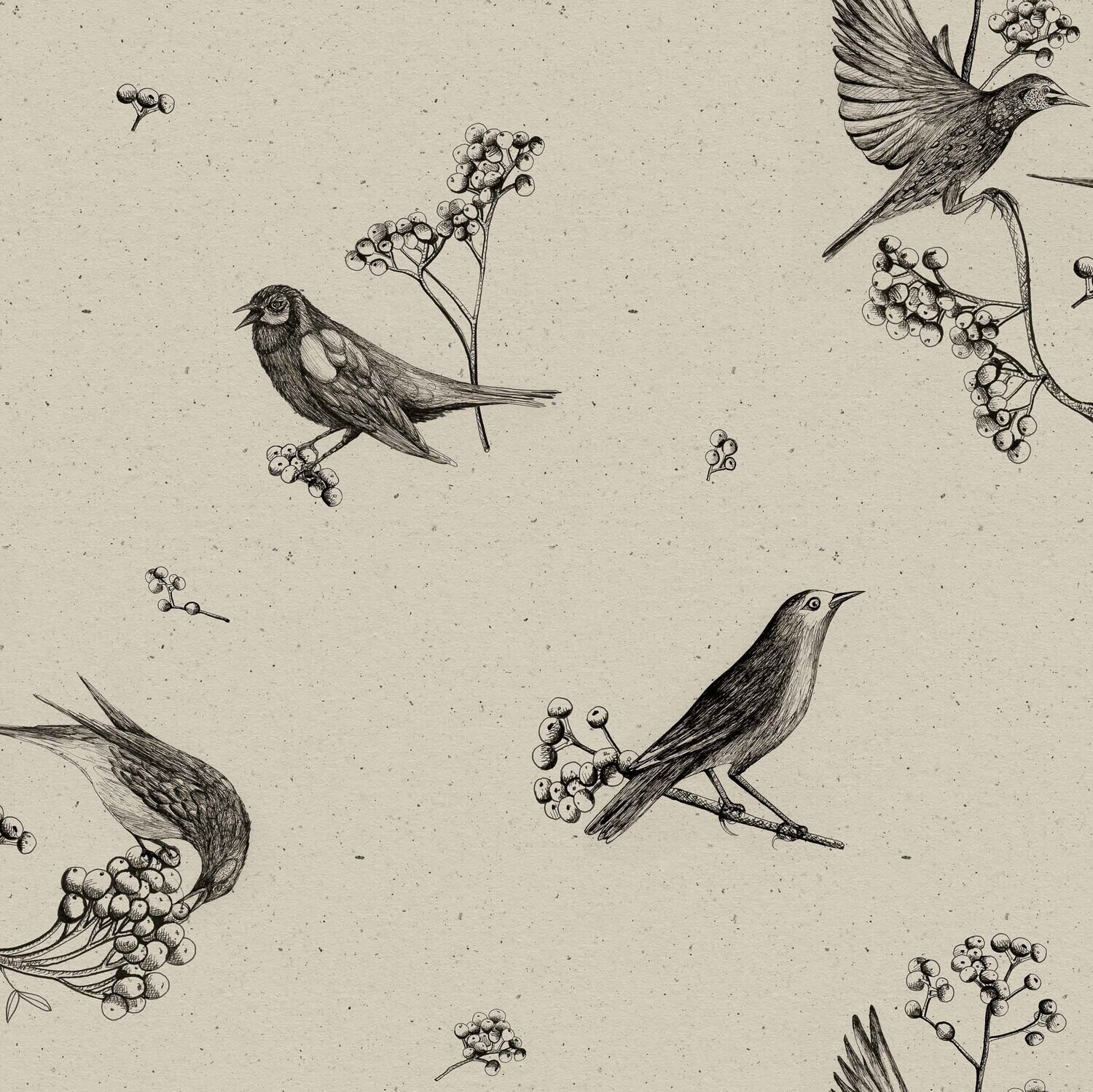 Sweet birds Black