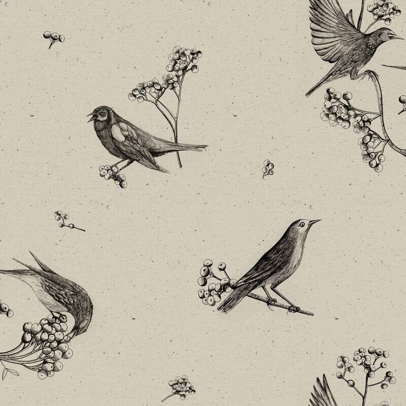 Sweet birds Black