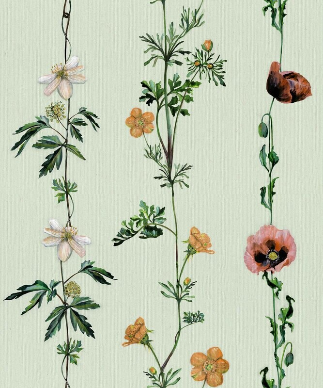 Climbing flowers Melon