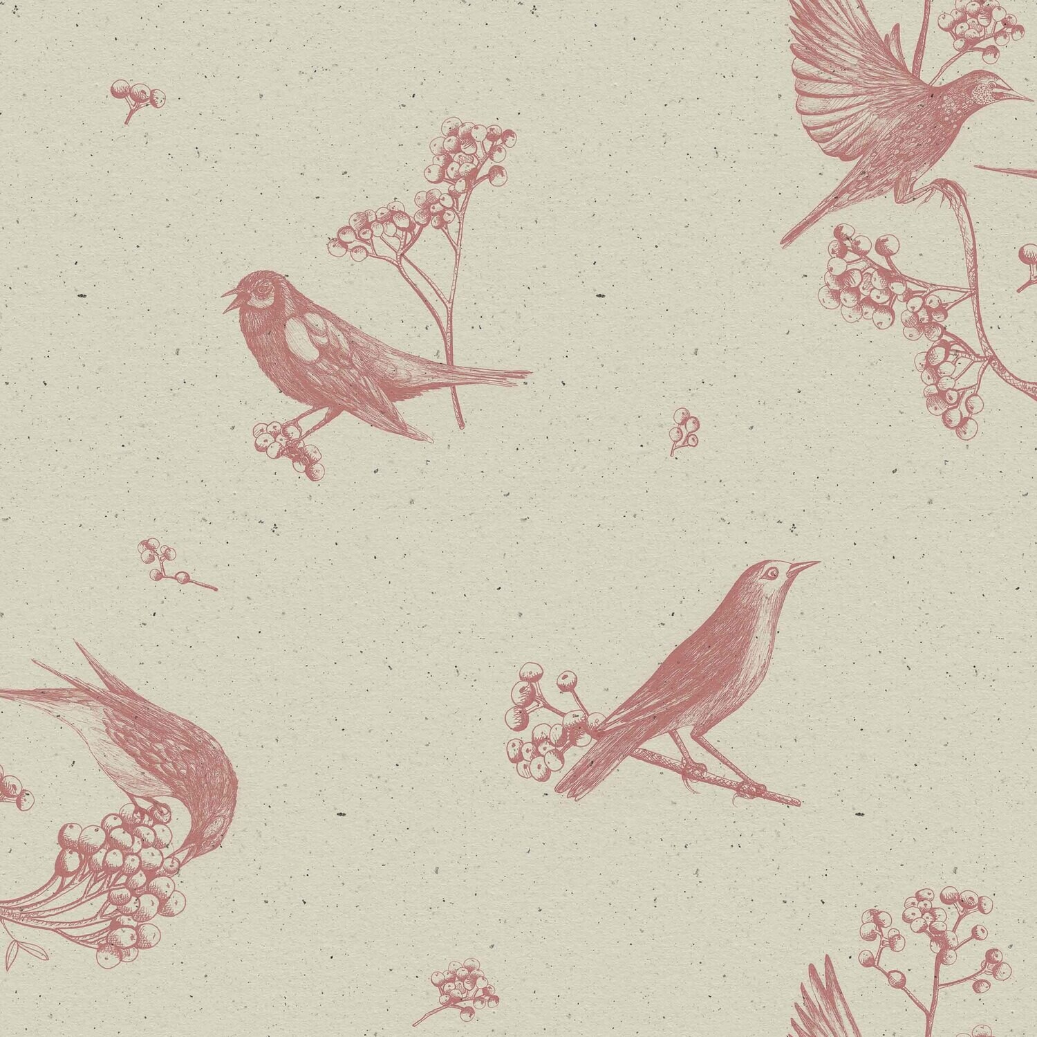Sweet birds Papirus