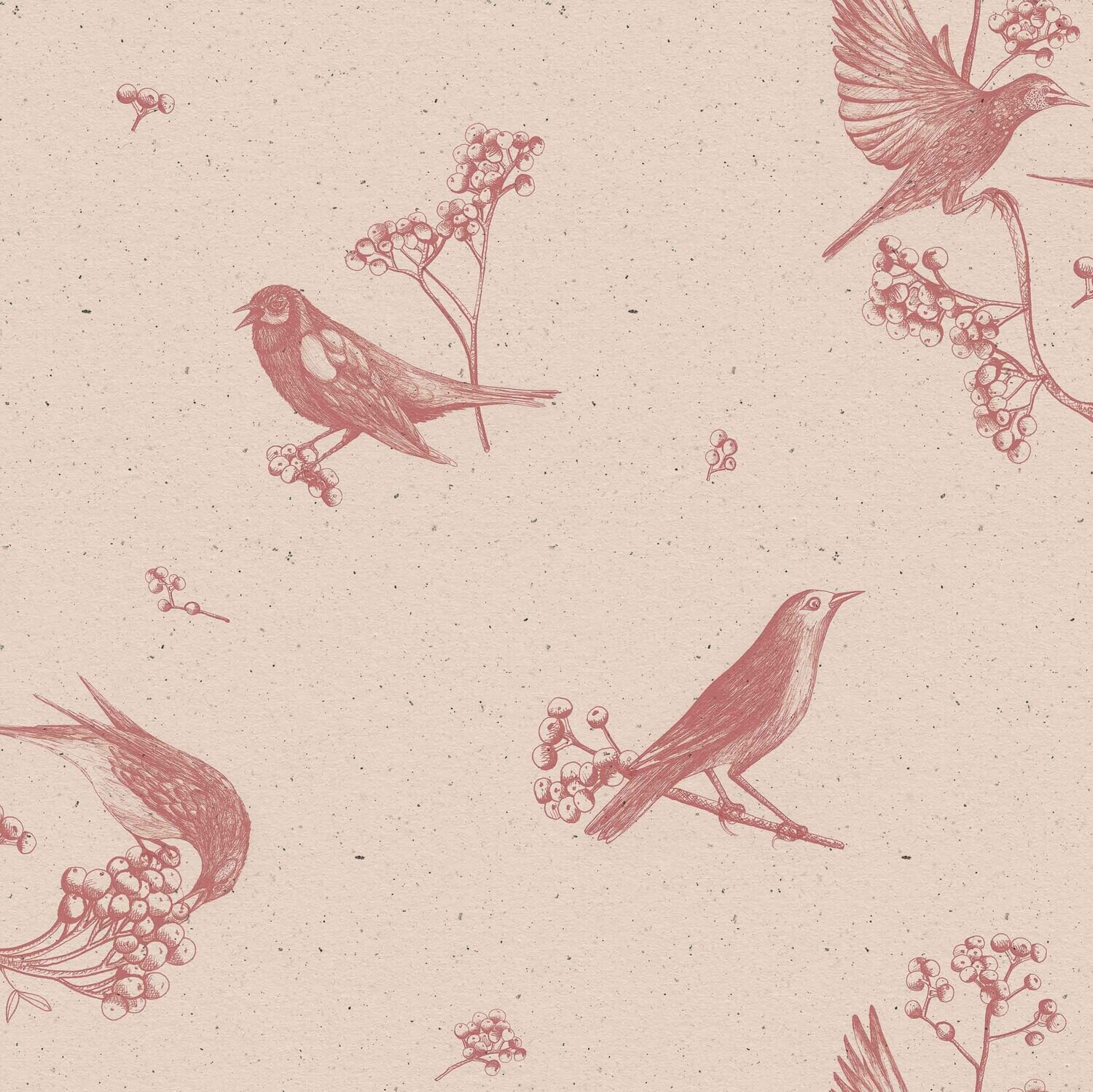 Sweet birds Rose