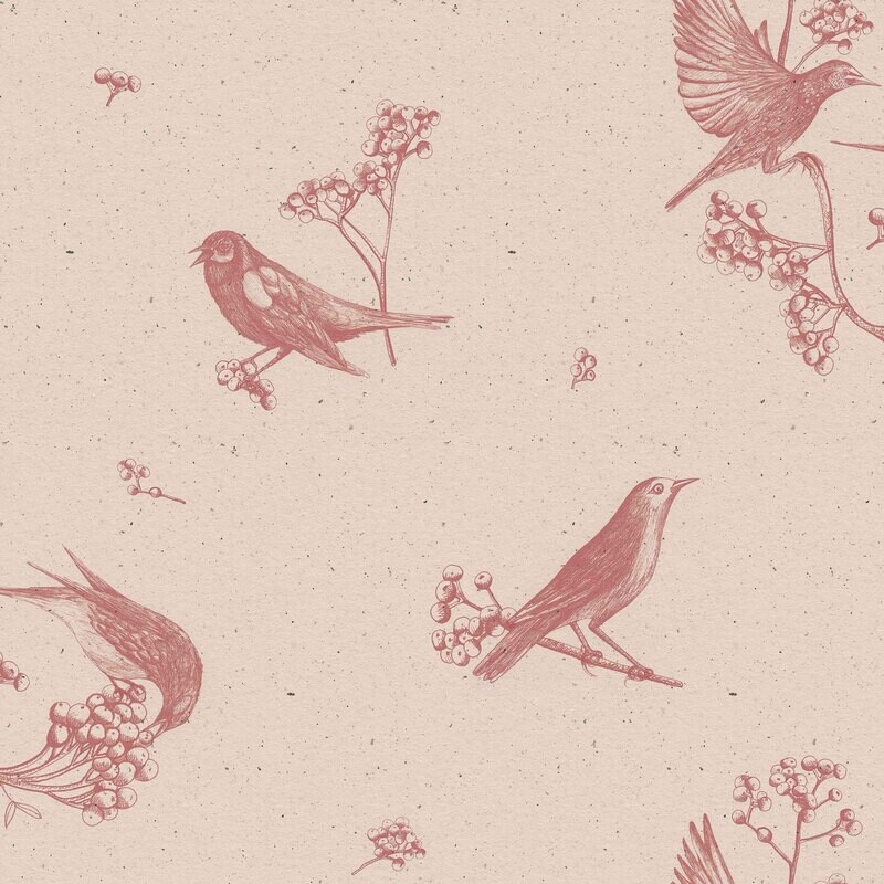 Sweet birds Rose