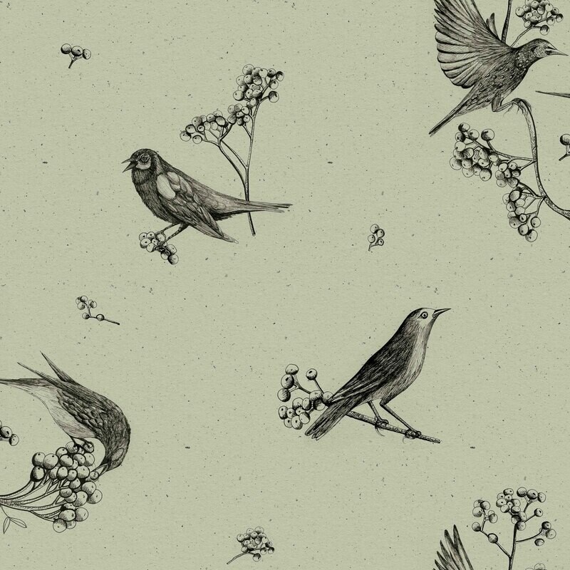 Sweet birds Matcha