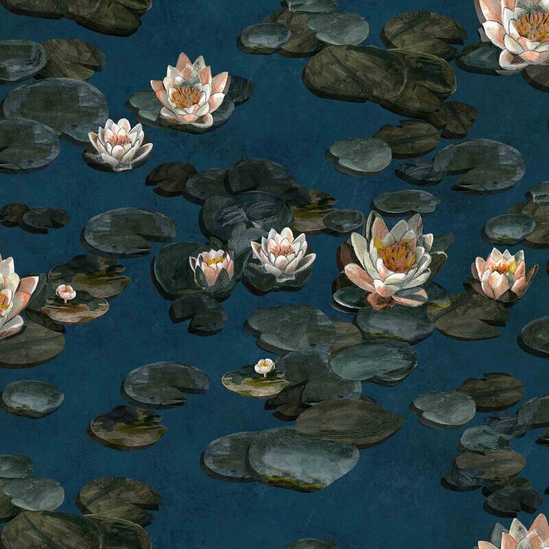 Nenúfares Lagoon by Ailanto