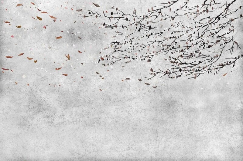 Eolia Winter
