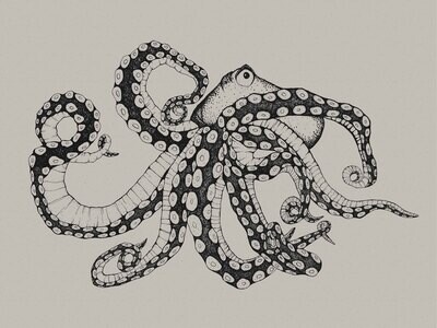 Octopus XRay Ink