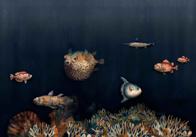 Deep Ocean Mediterranean