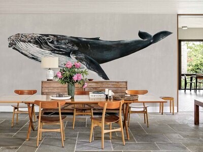 Humpback Whale Grey