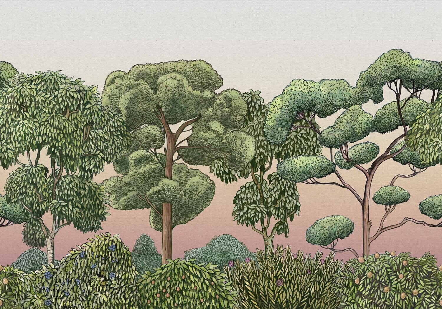 Green Forest Dawn