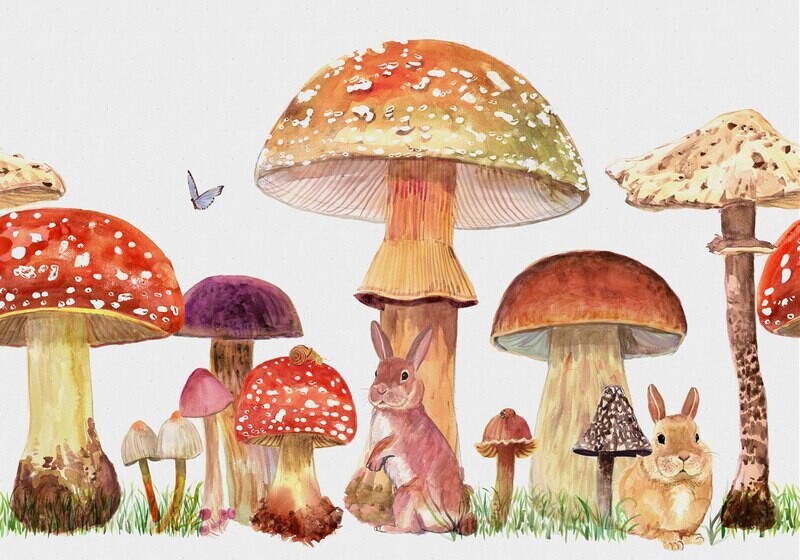 Sweet forest Vermilion