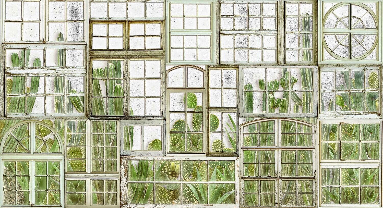Window Flora Fresh