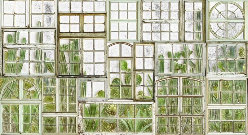 Window Flora Fresh