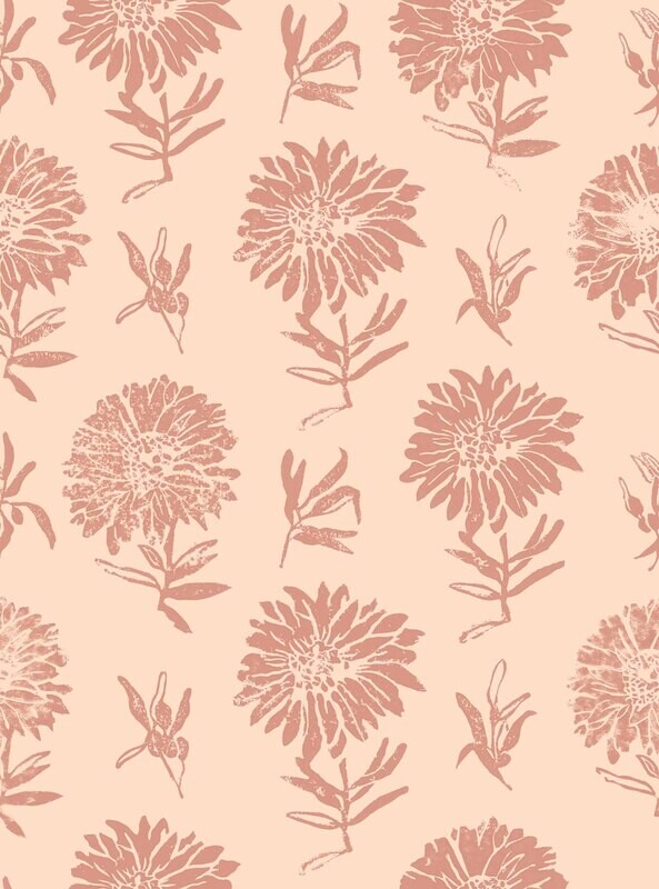 Parterre Rosa