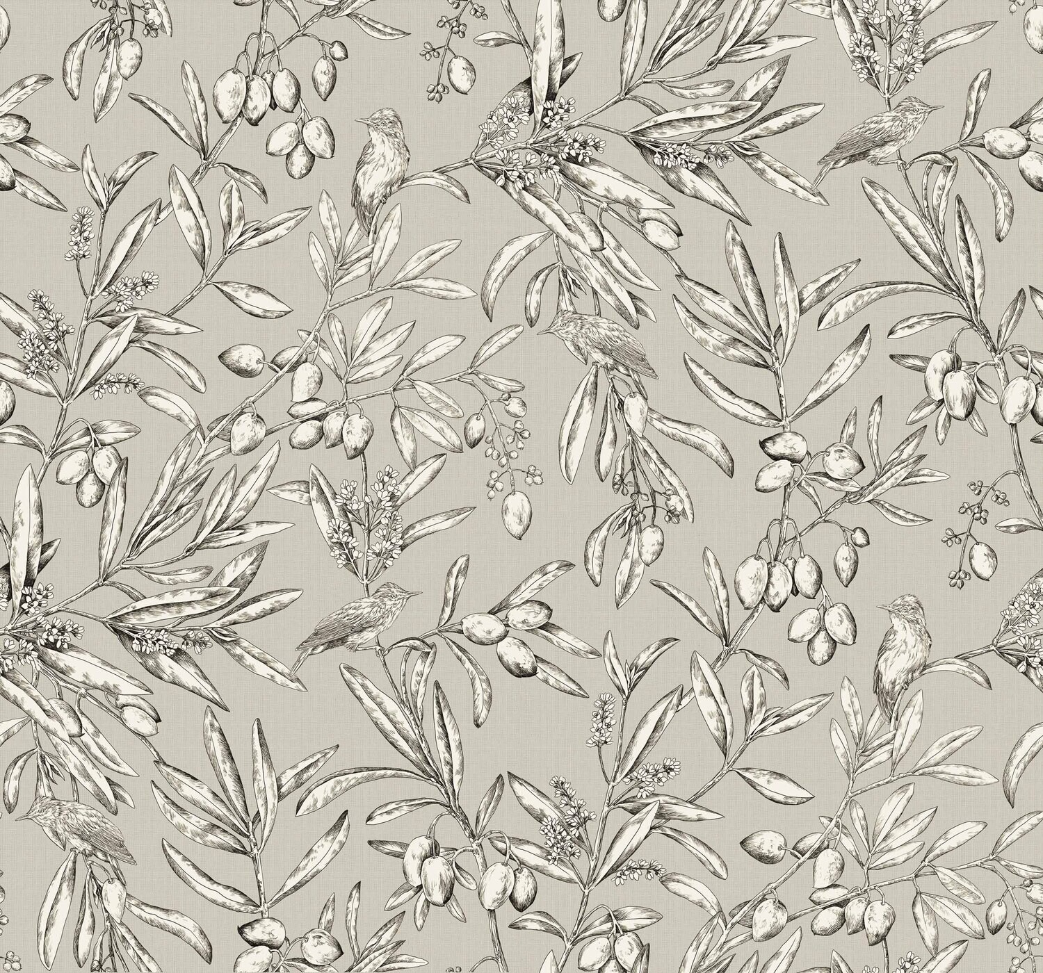 Aceituna Arroz/Beige