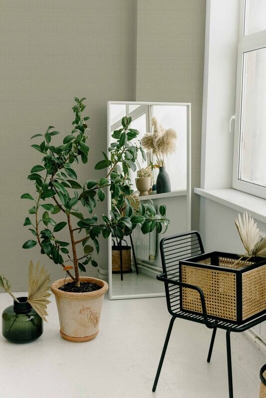 Sisal Silvestre/Verde claro