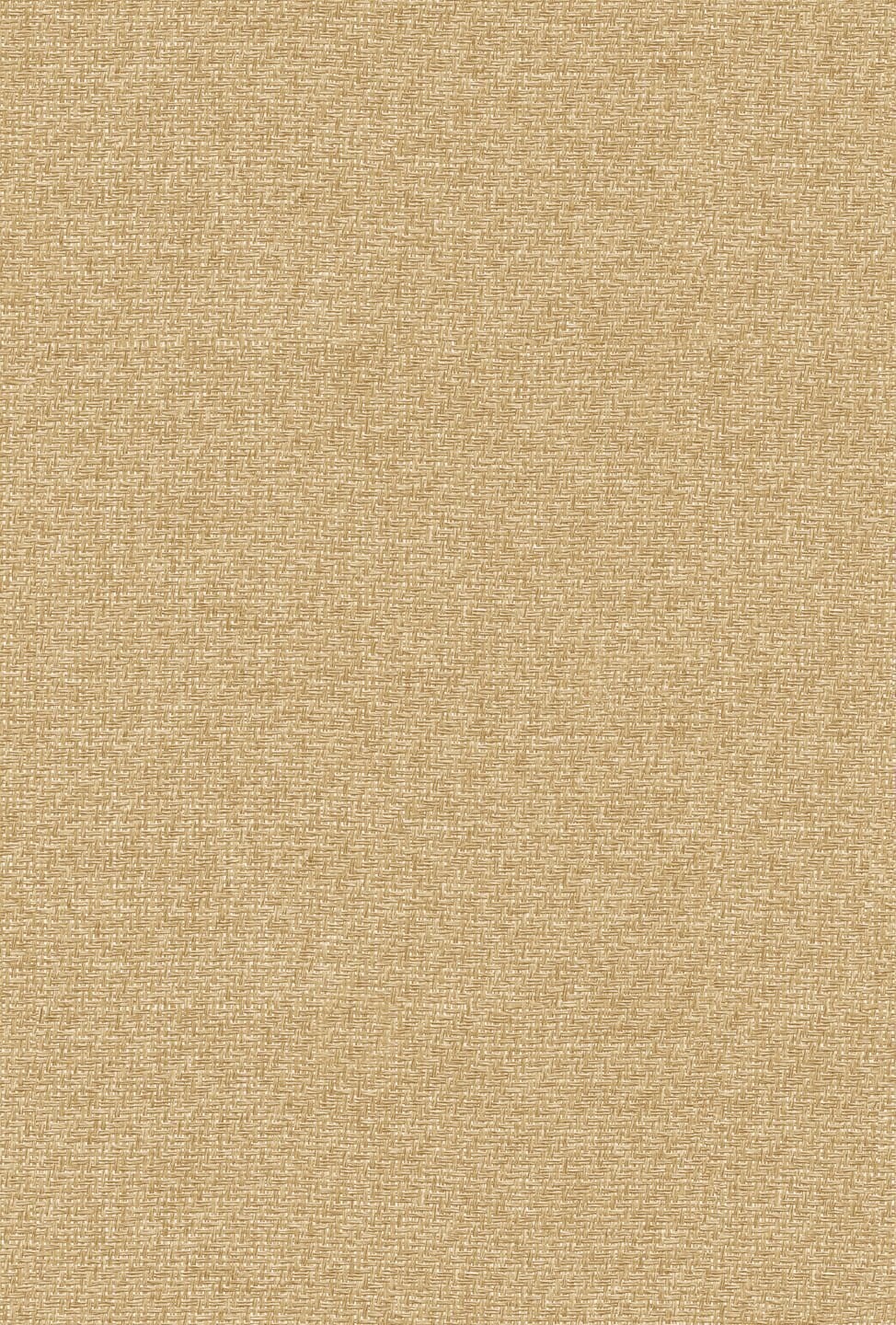 9800025