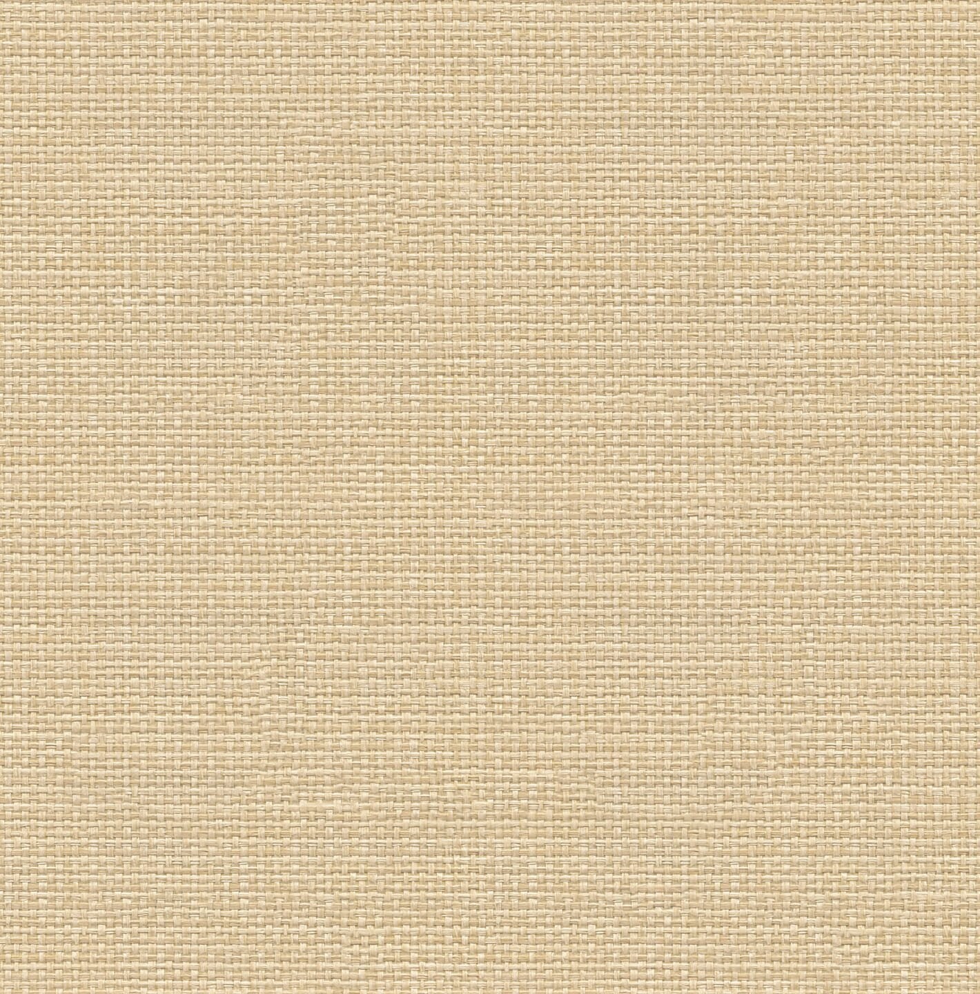 9800061