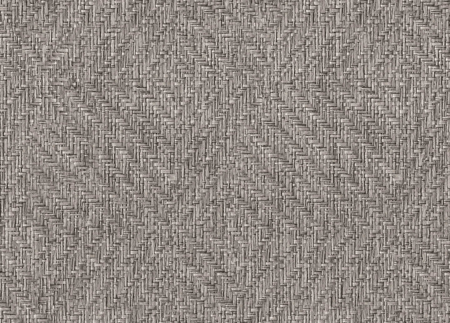 9800079