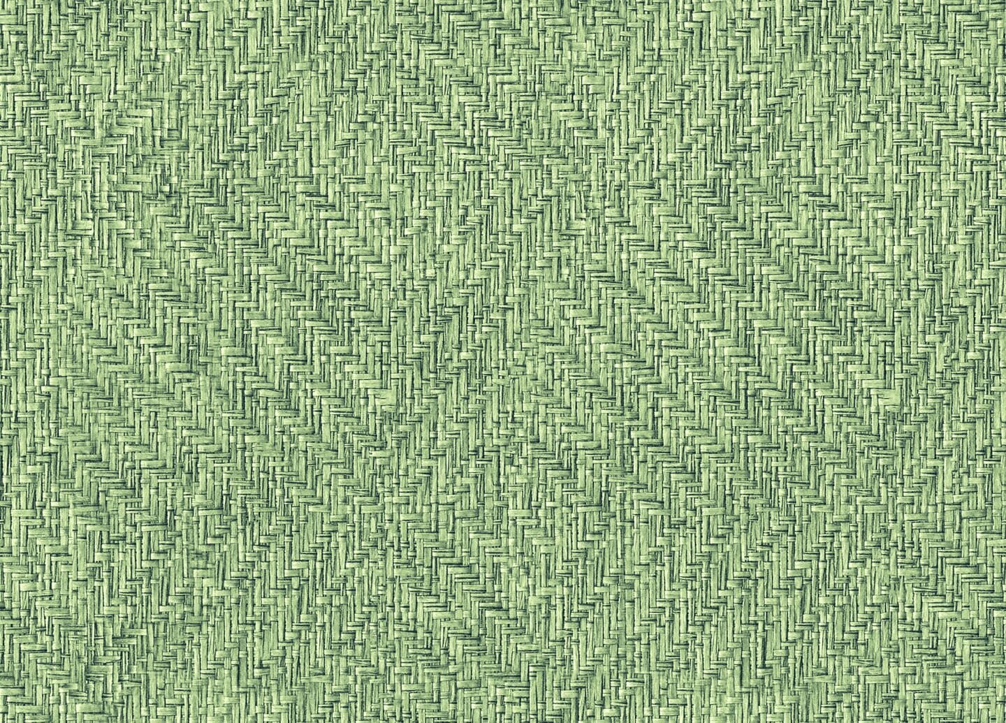 9800081