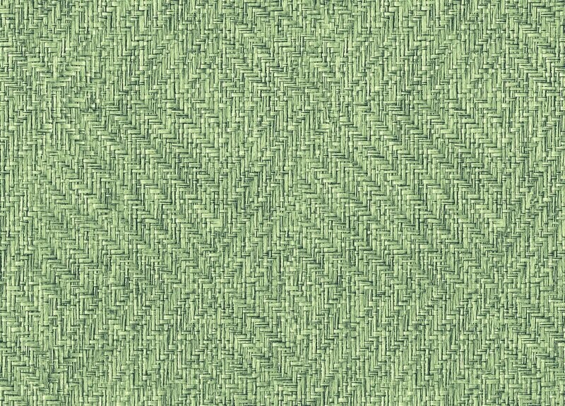 9800081