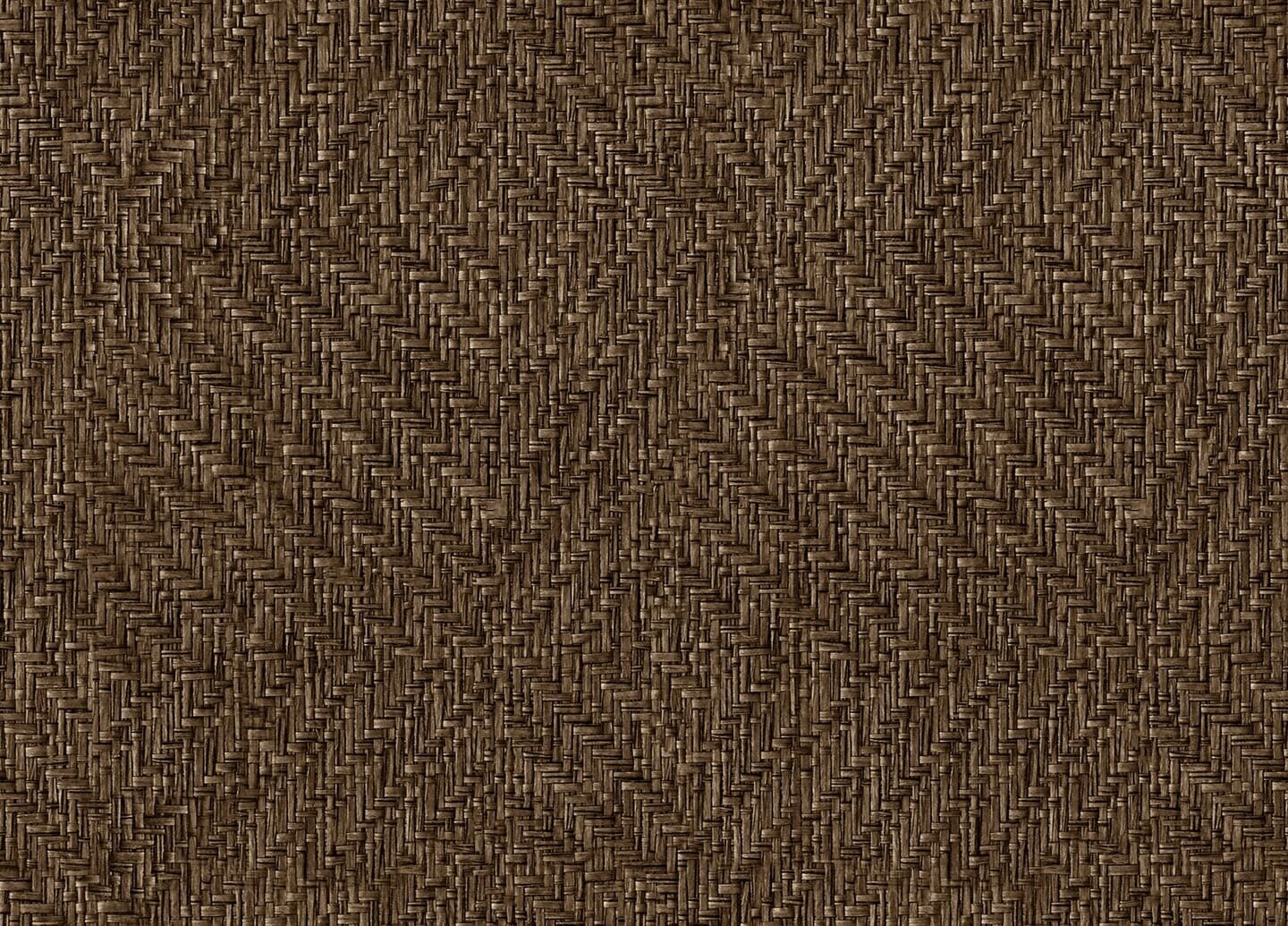 9800080