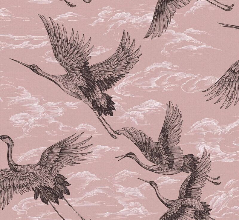 Imperial Ibis Rose