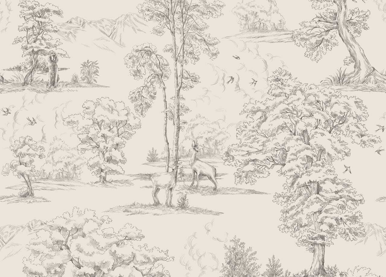 Montfort graphite