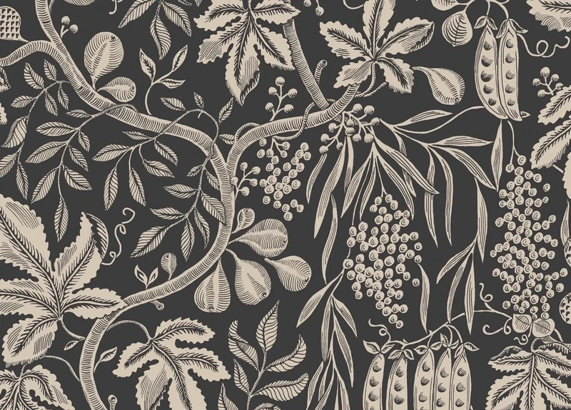Fig garden charcoal