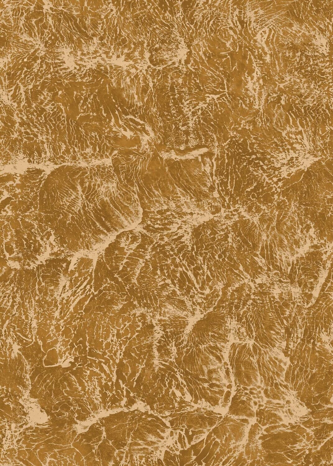 Sepia Curry