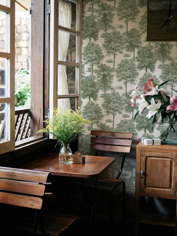 Chestnut tree Green