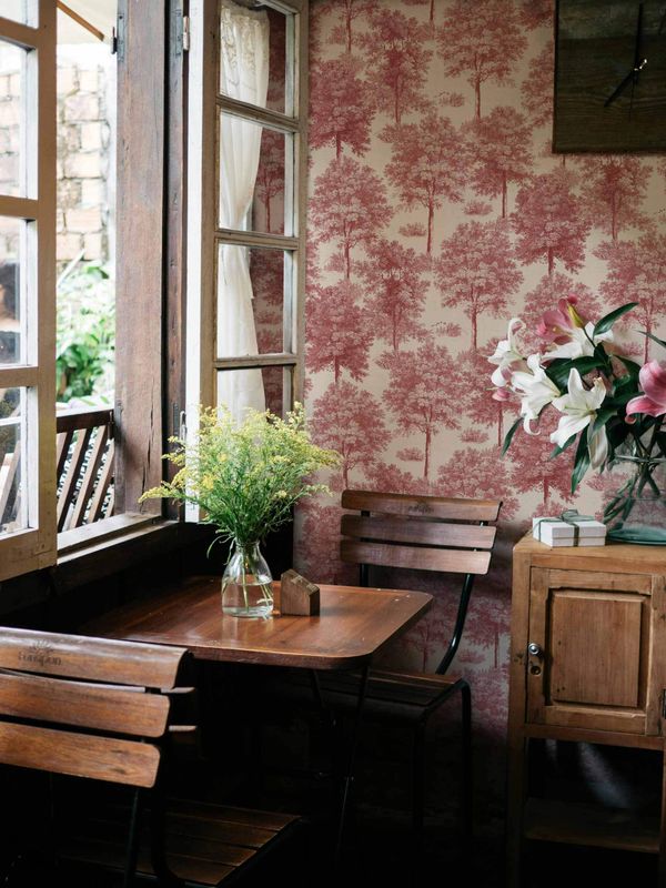 Chestnut tree Red
