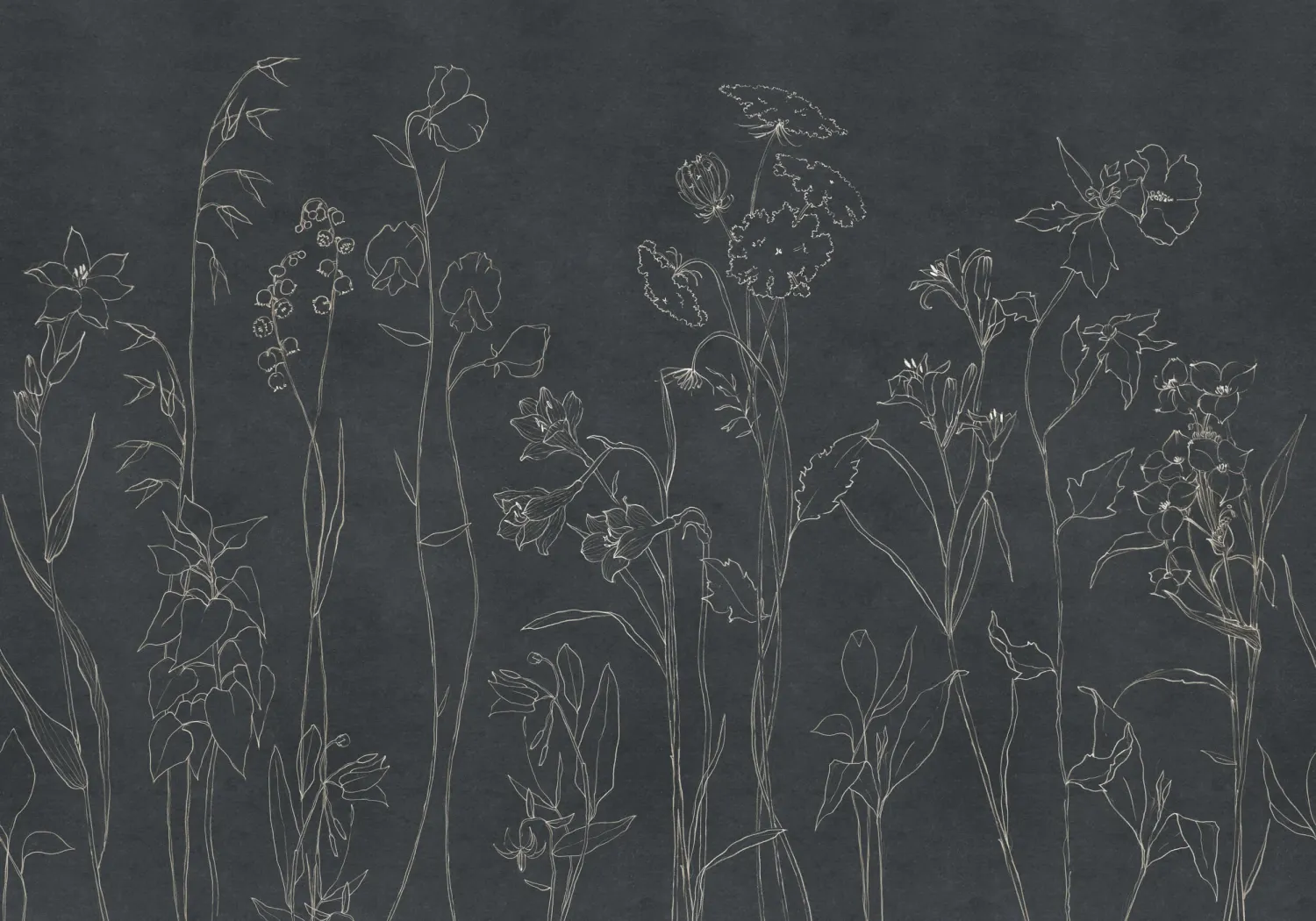 Countryside Black