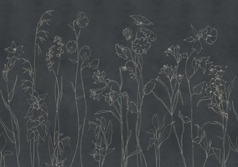 Countryside Black