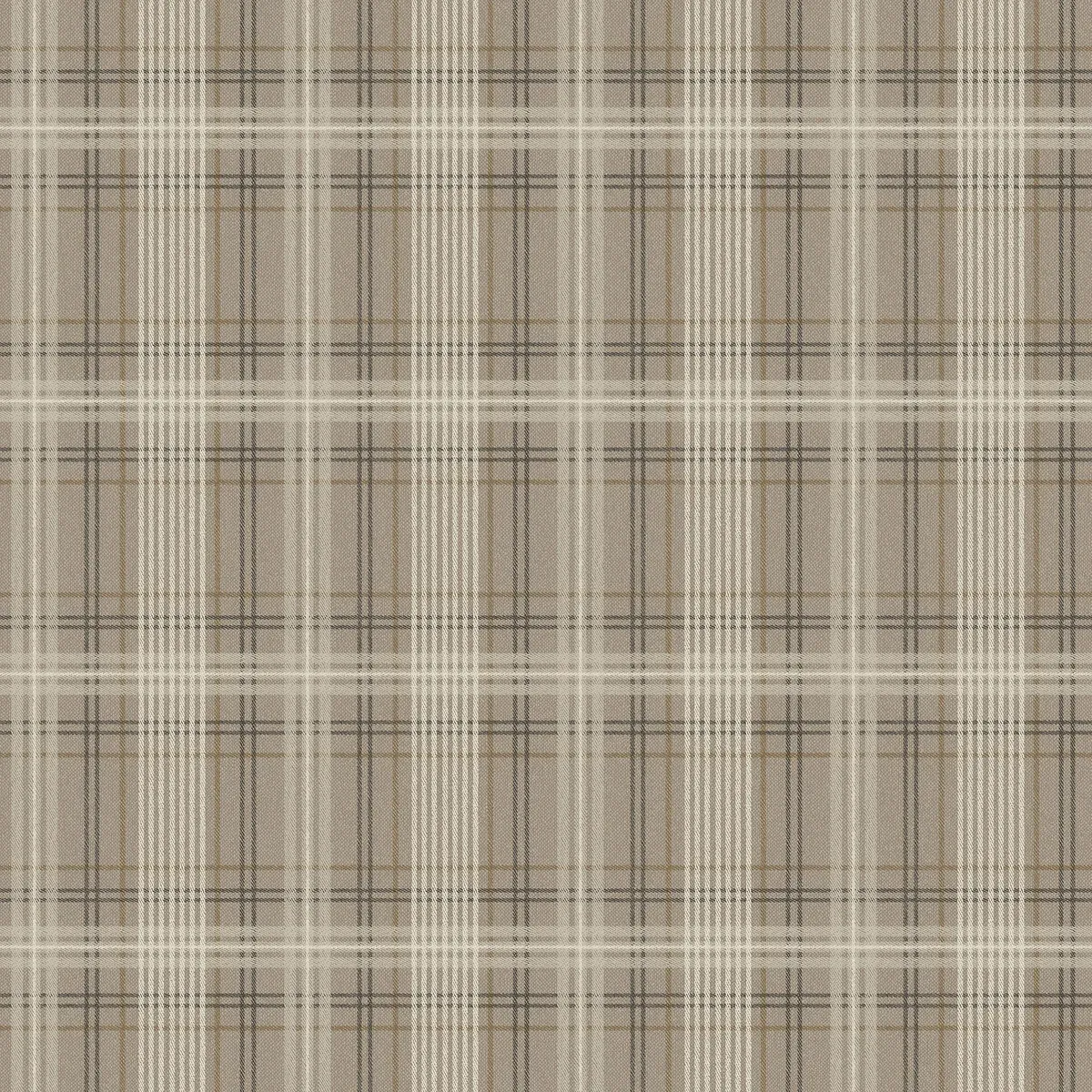 Tailor´s Tweed