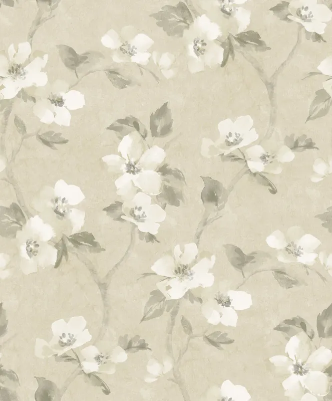 Helen´s Flower