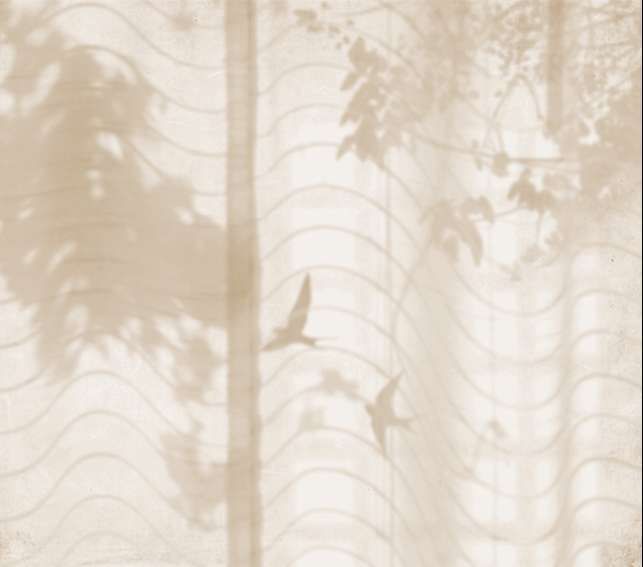 Hortus Umbra