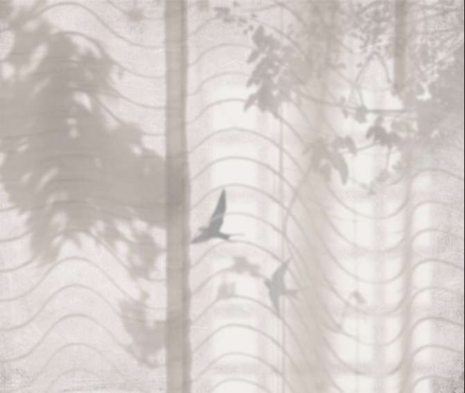 Hortus Umbra
