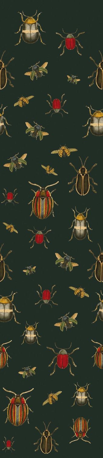 Coleopter