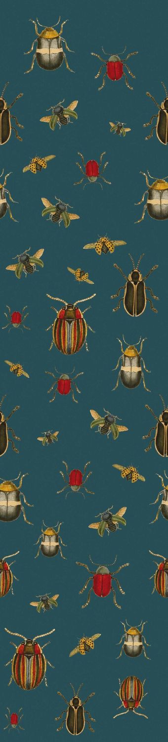 Coleopter