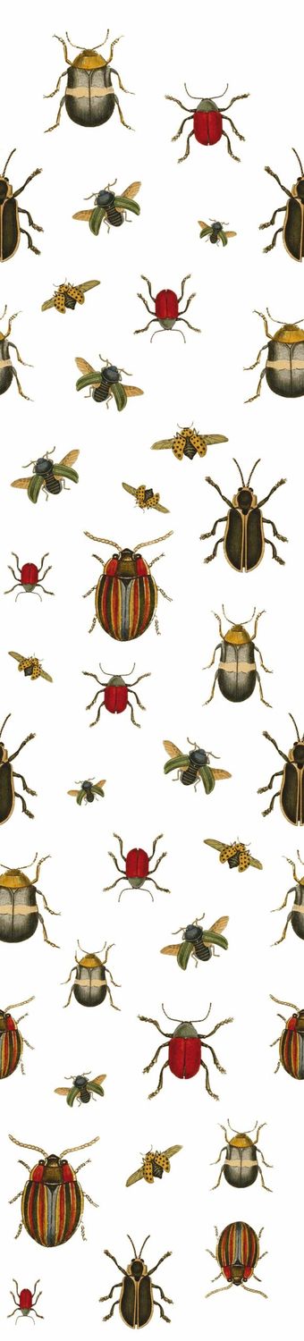 Coleopter