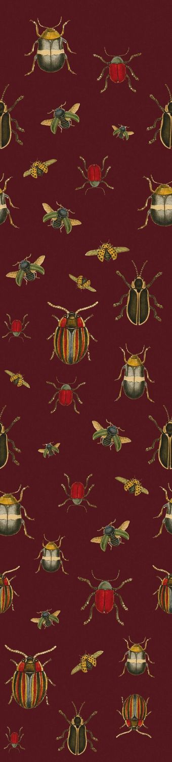 Coleopter
