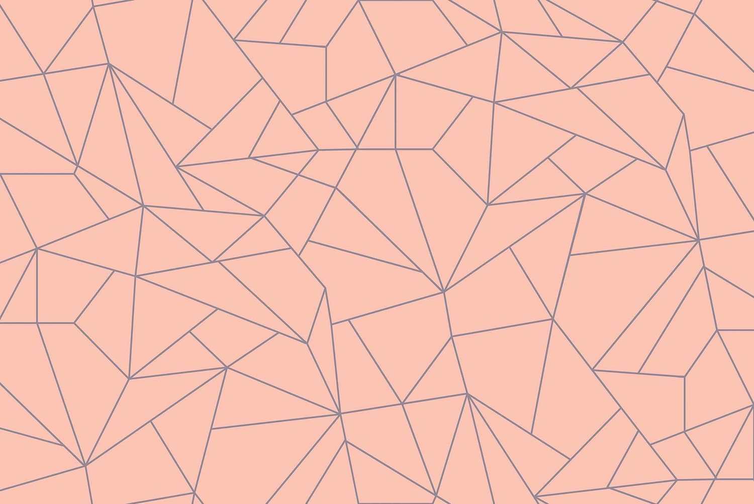 Fractal Salmón