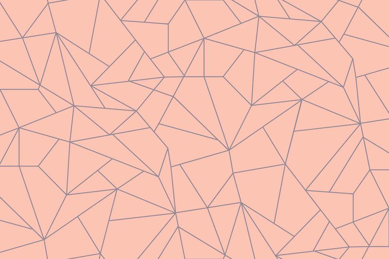 Fractal Salmón