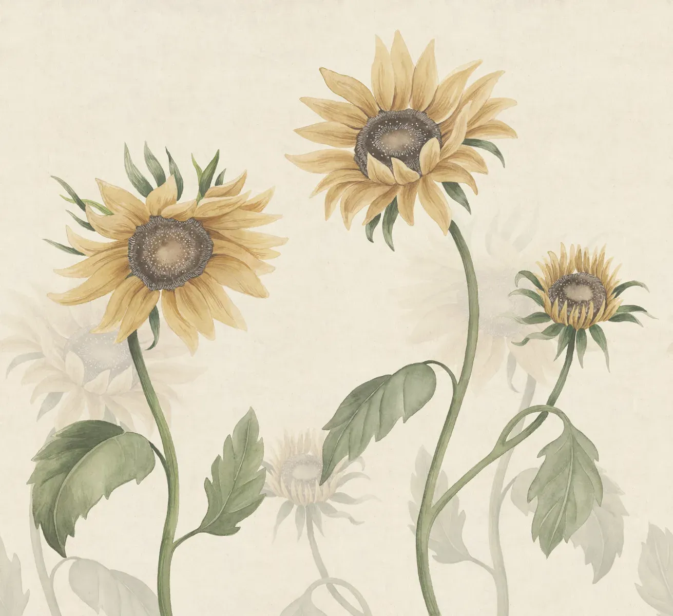 Sunflowers, Yellow